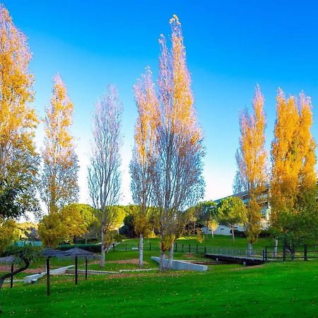 A11 - Marinapark Hill Beach Apartment Lagos Zewnętrze zdjęcie